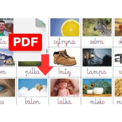Karty edukacyjne 24 szt - pdf